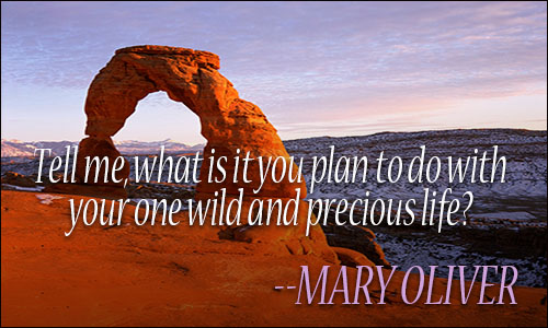 life quote